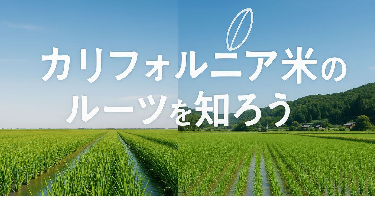 【比較解説】カリフォルニア米と日本米の違いとは？料理別おすすめ活用法も紹介